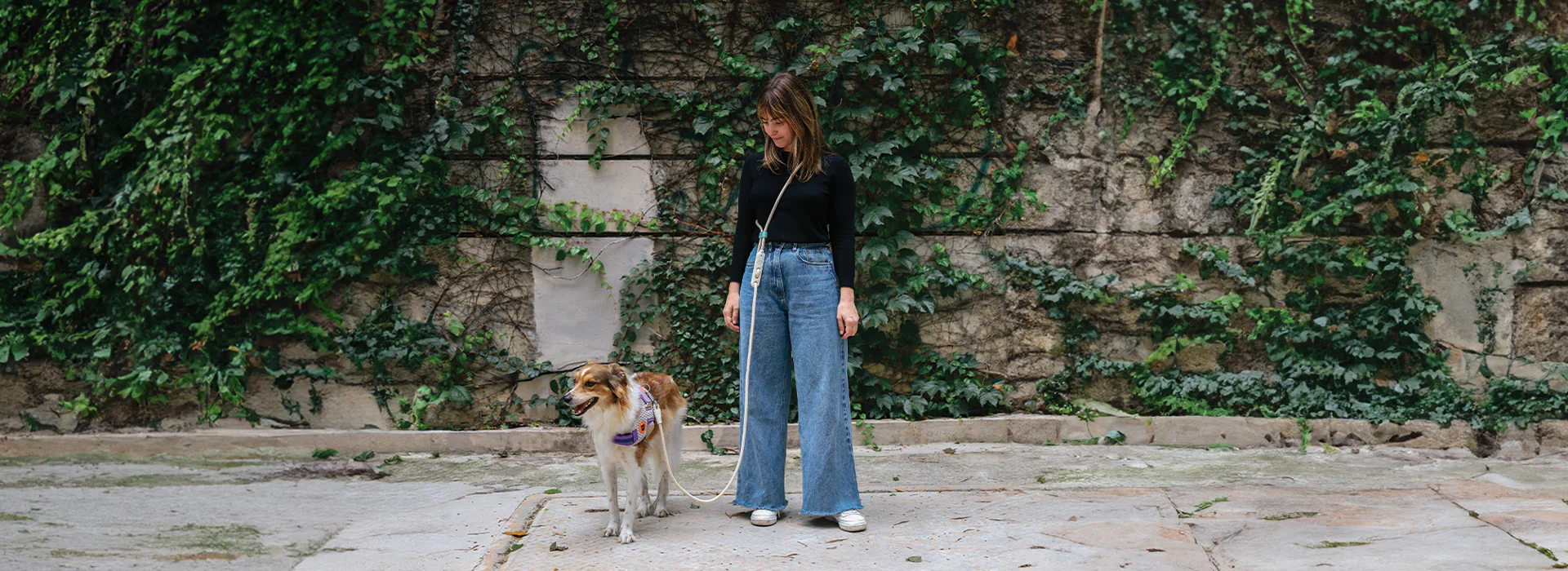 Dog Gear for the Modern Lifestyle